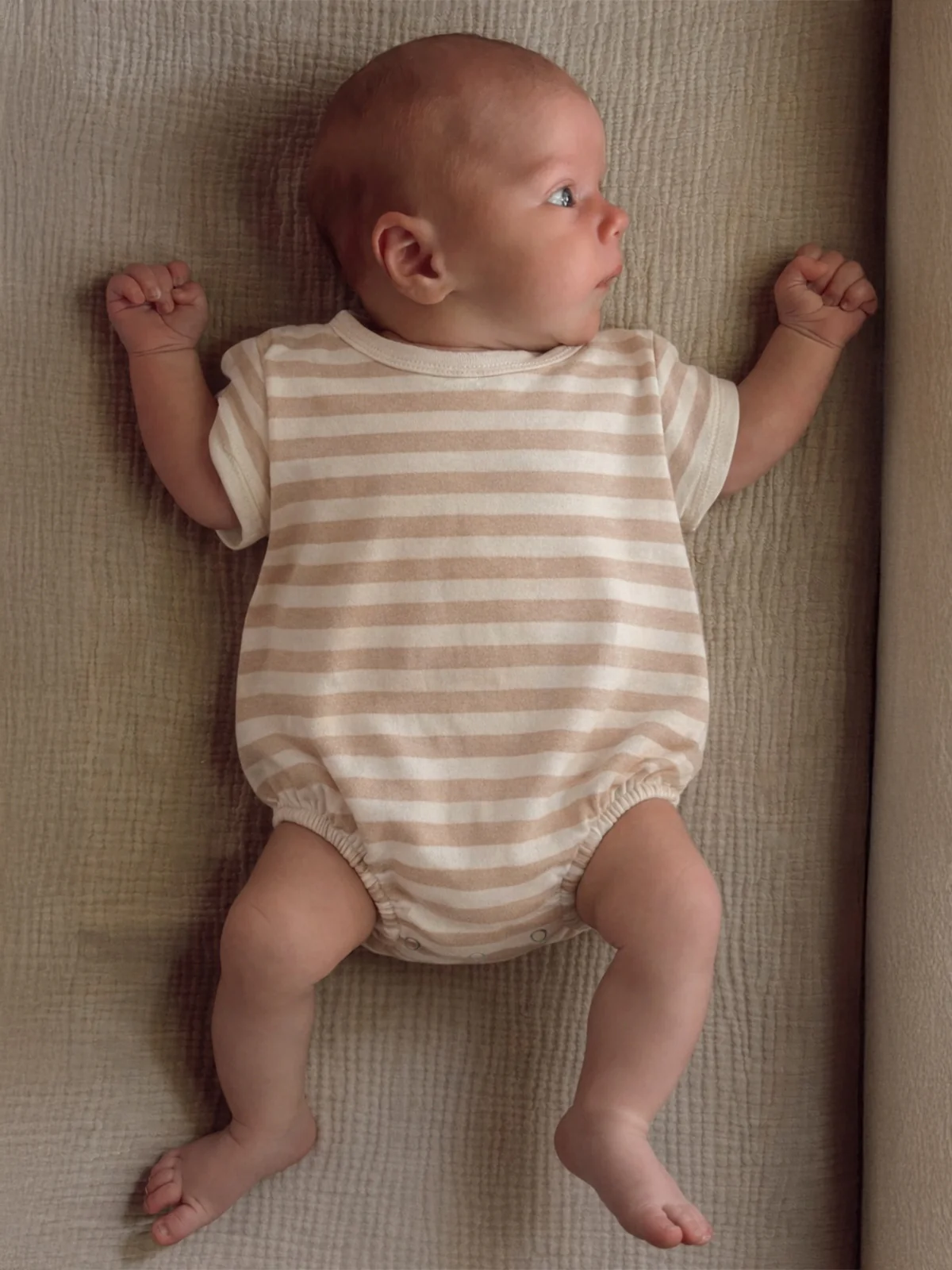 Biscuit Stripe / Organic T-Shirt Bubble