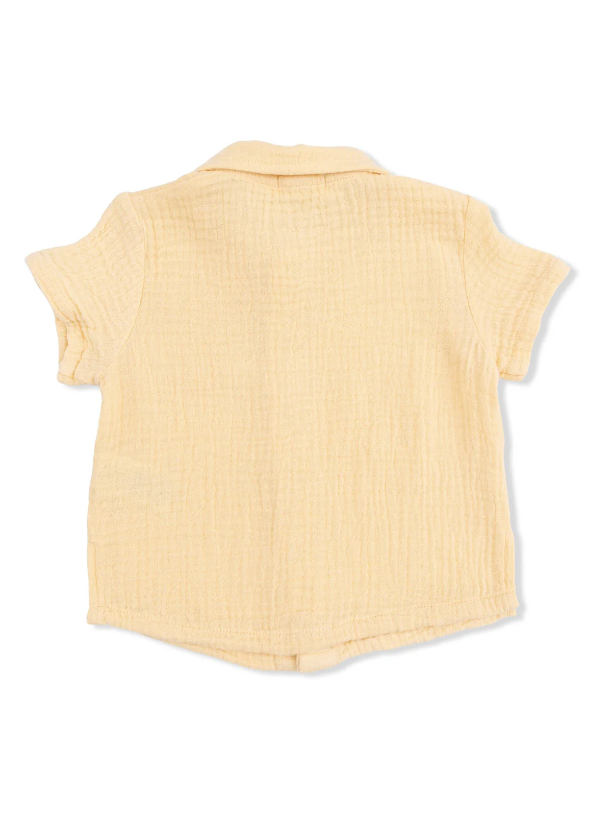 Polo Shirt & Casual Short Set, Micro Blue Gingham - Image 3