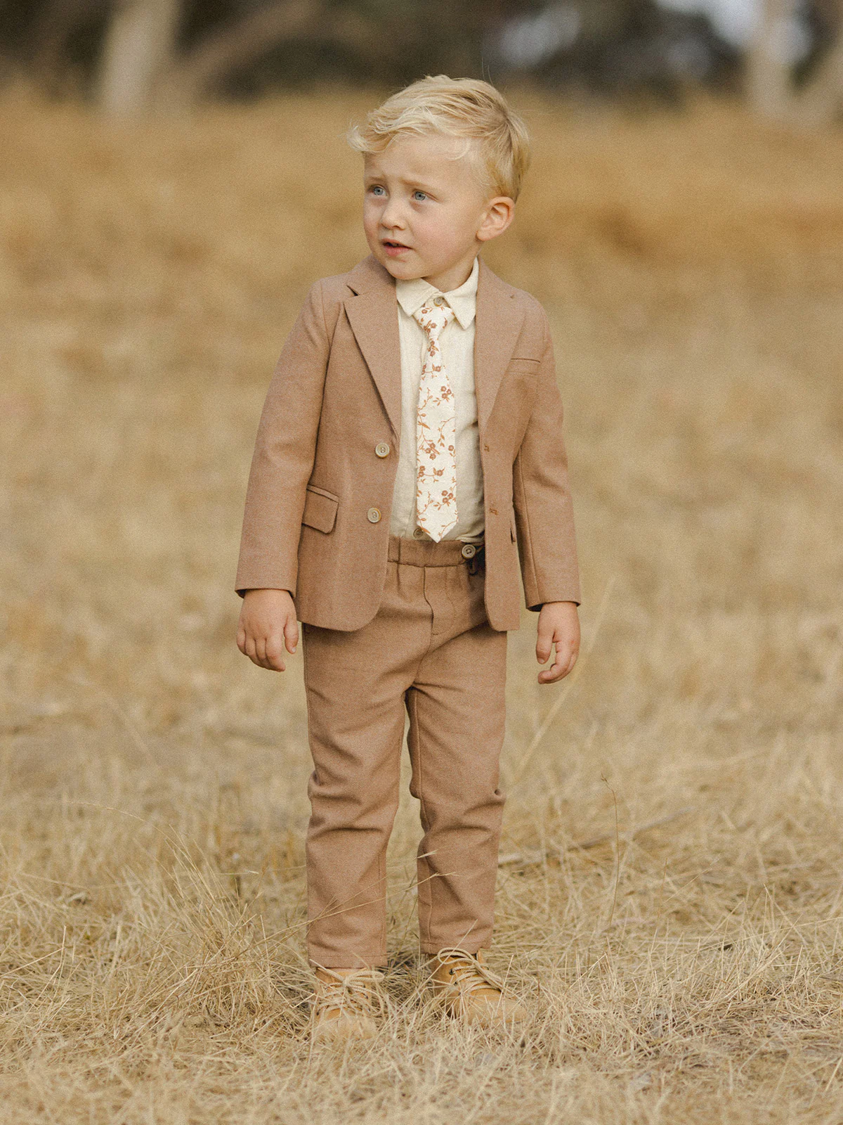 Sebastian Blazer, Copper - Image 5