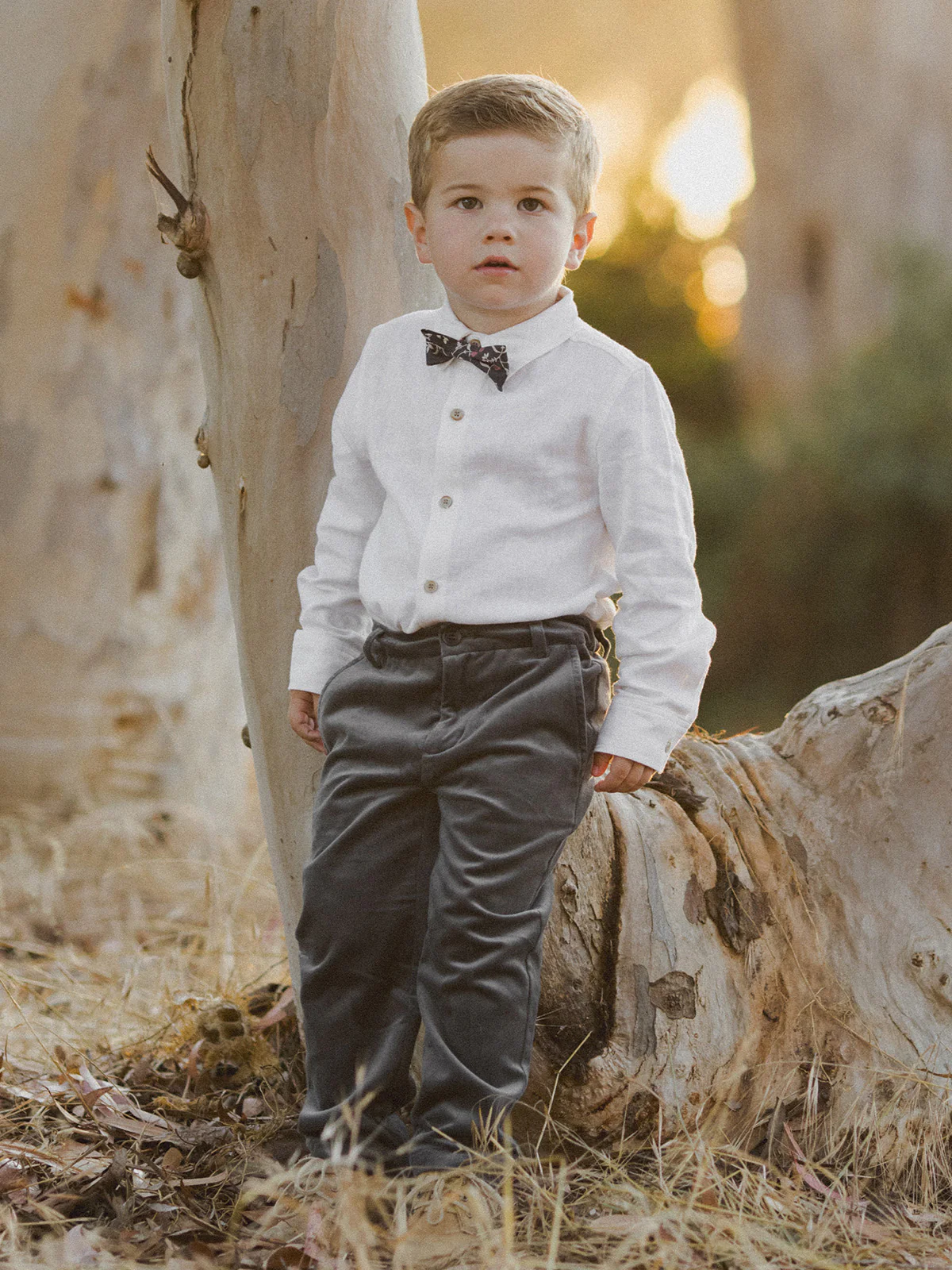 Sebastian Blazer, Midnight - Image 5